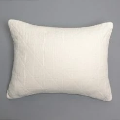 Deals π Cottage Home Marshawn Ivory Cotton Geometric Pillow Sham π 9 Deals π Cottage Home Marshawn Ivory Cotton Geometric Pillow Sham π -Cottage Home Shop unnamed file 2206